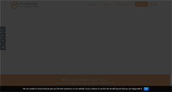 Desktop Screenshot of madhukar.org